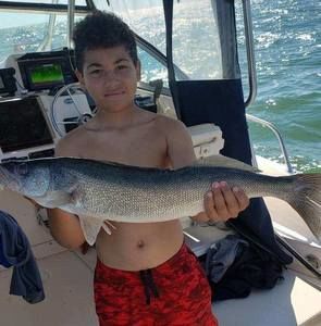 Meet your Posher, Otis